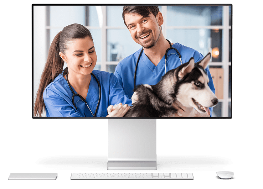 veterinarian seo services from Los Angeles SEO